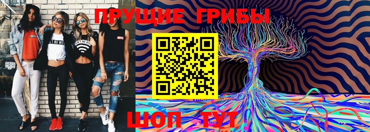 Псилоцибиновые грибы Cubensis Черемхово