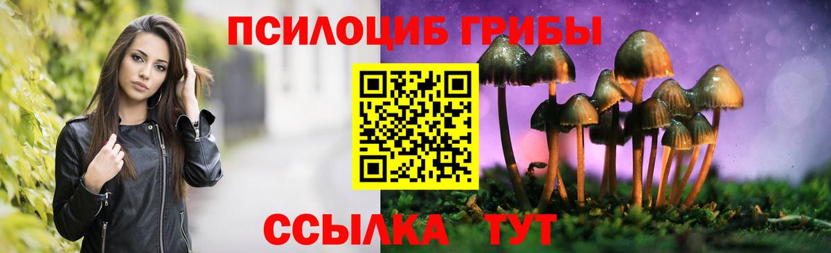 где найти   Вход с VPN  Черемхово  Галлюциногенные грибы мицелий 